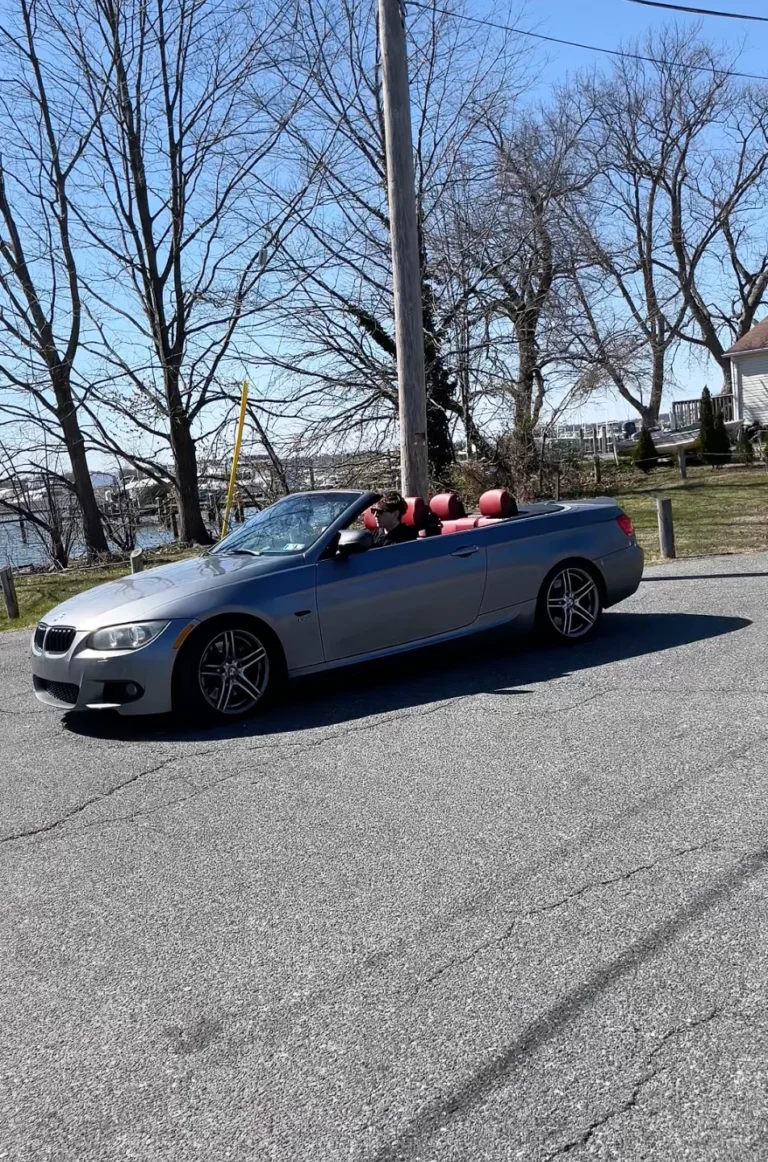 Tailor-Brands-finished-final